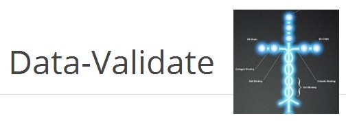 jQuery Data-Validate